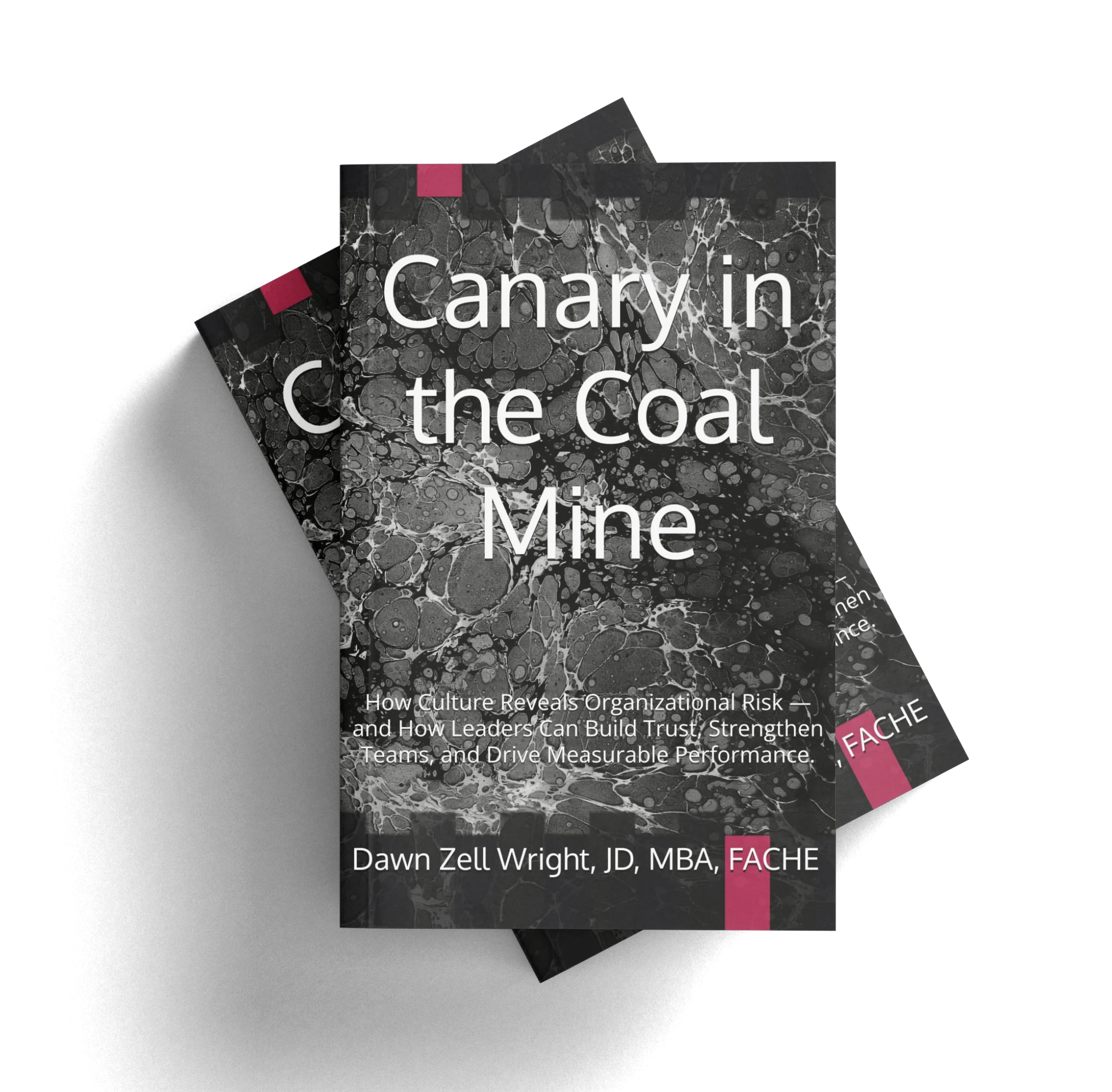 Canary Human Capital Partners - Canary in the Coal Mine by Dawn Zell Wright, JD, MBA, FACHE.